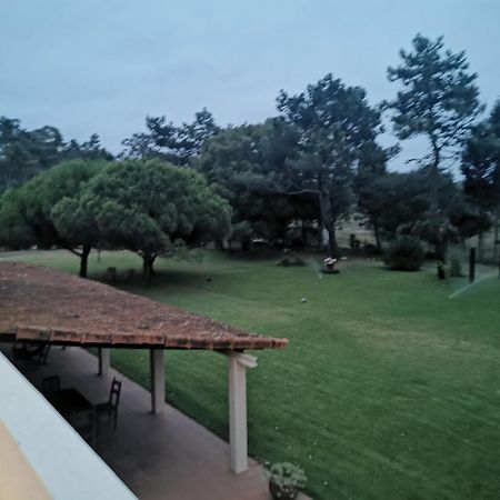 Villa T1 Na Casa Da Quinta S Jose Praia de Mira Exterior foto