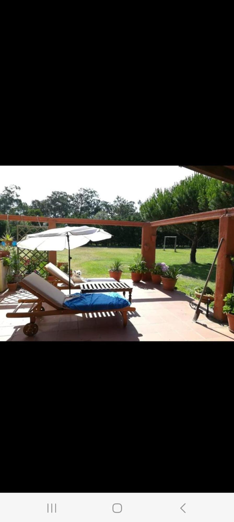 Villa T1 Na Casa Da Quinta S Jose Praia de Mira Exterior foto
